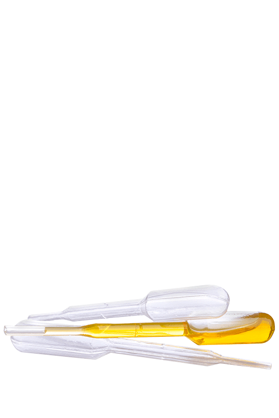 doTERRA Pipettes 50pk